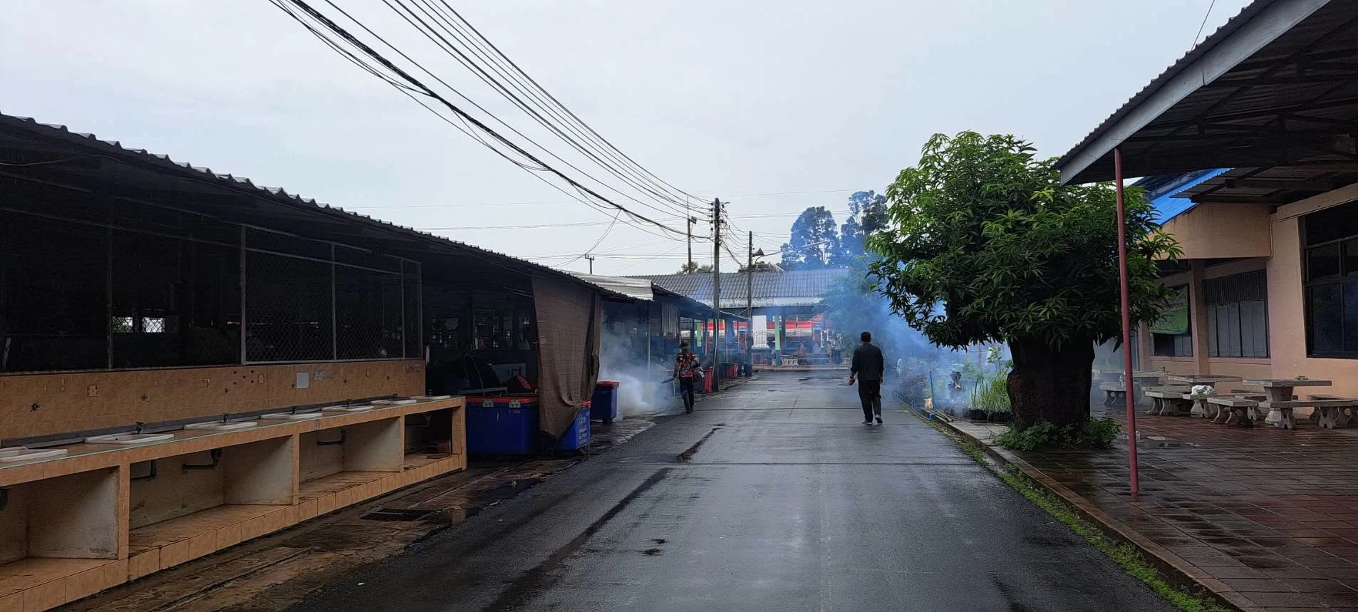 การดำเนินการ พ่นหมอกควันกำจัดยุงลาย ภายในบริเวณโรงเรียน